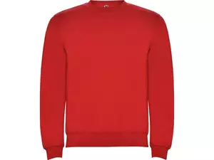 Свитшот с начесом «Clasica» унисекс - 212107060