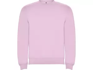 Свитшот с начесом «Clasica» унисекс - 212107048