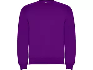 Свитшот с начесом «Clasica» унисекс - 212107071