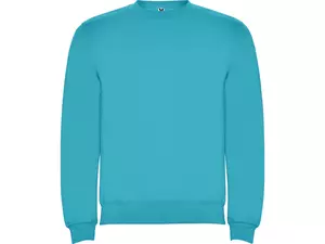 Свитшот с начесом «Clasica» унисекс - 212107012