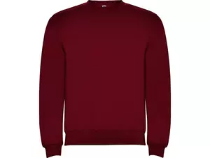 Свитшот с начесом «Clasica» унисекс - 212107057