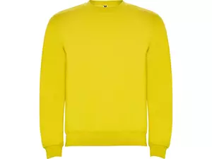 Свитшот с начесом «Clasica» детский - 2121070403