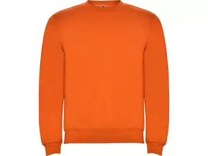 Свитшот с начесом «Clasica» детский - 2121070431