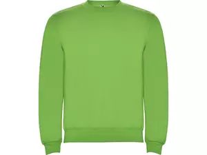 Свитшот с начесом «Clasica» детский - 21210704114