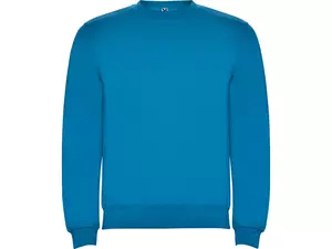 Свитшот с начесом «Clasica» детский - 21210704100