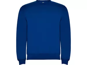 Свитшот с начесом «Clasica» детский - 2121070405