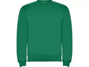 Свитшот с начесом «Clasica» детский - 2121070420