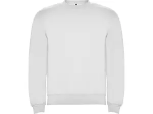 Свитшот с начесом «Clasica» детский - 2121070401