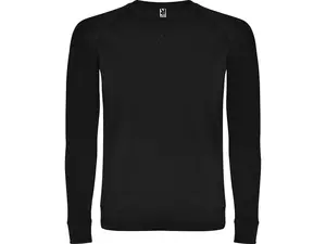 Свитшот «Annapurna» мужской - 212110402