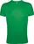 Футболка мужская Regent Fit 150, ярко-зеленая - 0635973.92