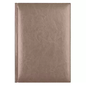 Ежедневник недатированный Birmingham 145х205 мм,  без календаря, с лого AvD, пепельный металлик - 110LXX65031-234-IT