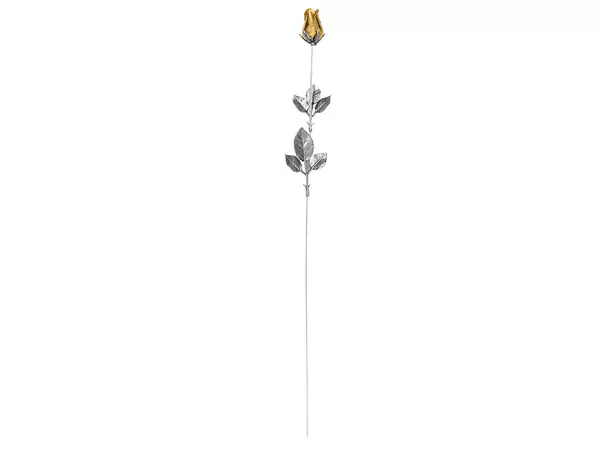 Роза с золотым бутоном - 21250142