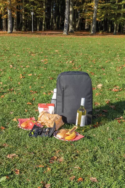 Рюкзак-холодильник Tierra - 046P733.081