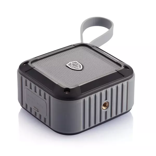 Беспроводная колонка Swiss Peak - 046P326.351