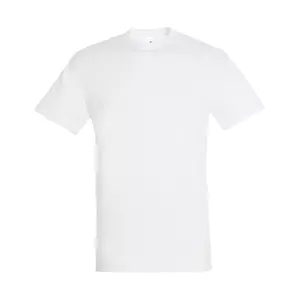 Футболка мужская REGENT 150 - 690711380.102