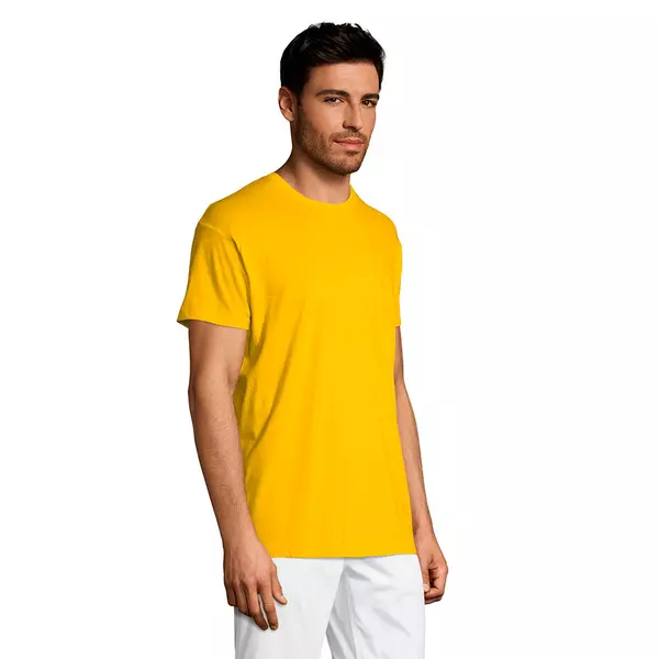 Футболка мужская REGENT 150 - 690711380.301