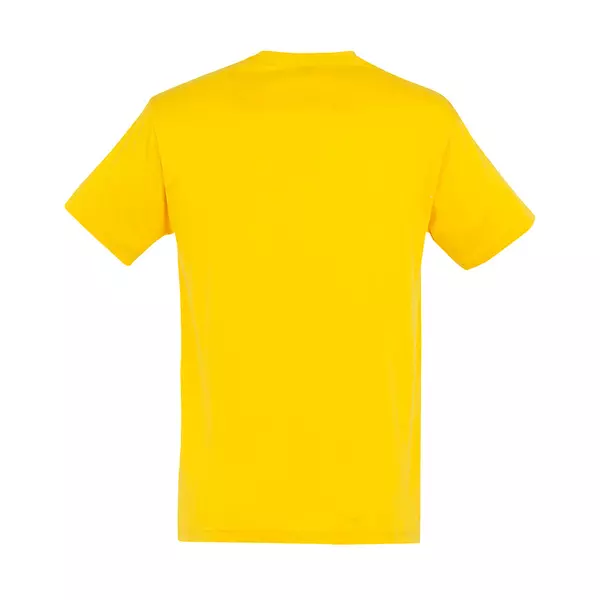 Футболка мужская REGENT 150 - 690711380.301