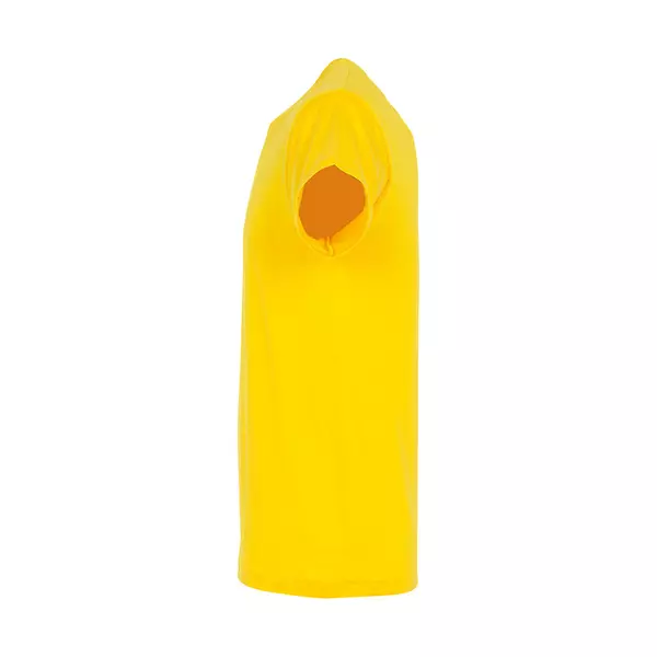 Футболка мужская REGENT 150 - 690711380.301