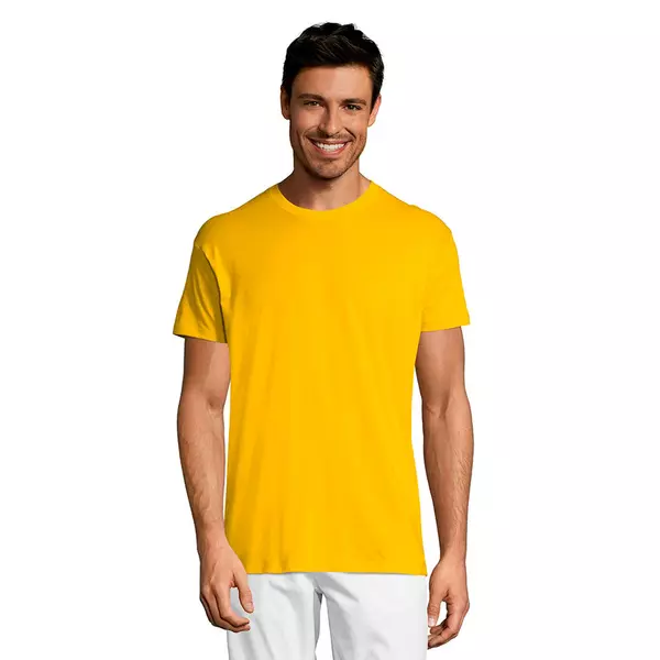 Футболка мужская REGENT 150 - 690711380.301