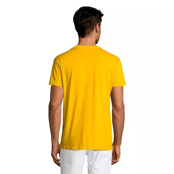 Футболка мужская REGENT 150 - 690711380.301