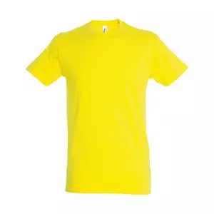 Футболка мужская REGENT 150 - 690711380.302