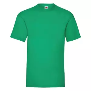 Футболка мужская VALUEWEIGHT T 165 - 690610360.47