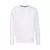 Свитшот без начеса LIGHTWEIGHT SET-IN SWEAT 240 - 690621560.30