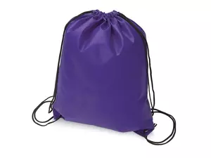 Рюкзак «Пилигрим» - 212933998