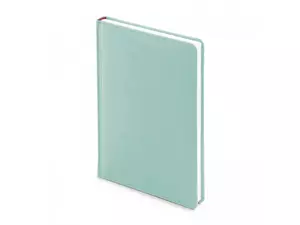 Ежедневник недатированный А5 «Velvet» - 2123-115.36