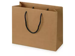 Пакет подарочный Kraft M - 2129911329