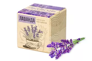 Набор для выращивания «Экокуб», лаванда - 0633416