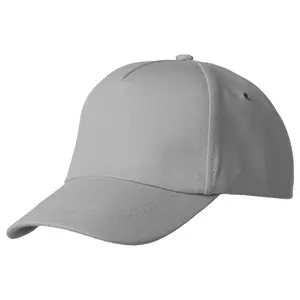 Бейсболка Bizbolka Convention, серая - 0633362.11