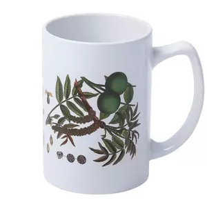 Кружка «Грецкий орех» - 0637362.60