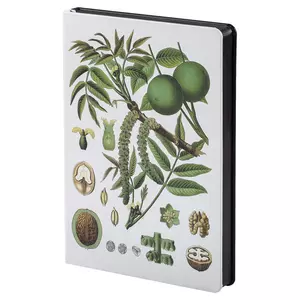 Ежедневник «Грецкий орех», недатированный - 0637360.03