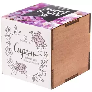 Набор для выращивания «Экокуб Lite», сирень - 06310607.01