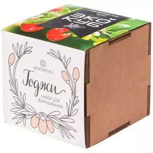 Набор для выращивания «Экокуб Lite», годжи - 06310607.08