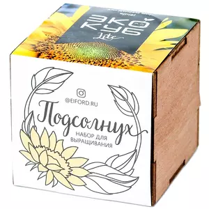Набор для выращивания «Экокуб Lite», подсолнух - 06310607.15