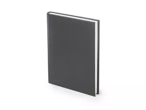 Ежедневник датированный А5 «Ideal New» на 2023 год - 2123-344.03