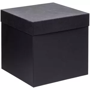 Коробка Cube, L, черная - 06314096.30