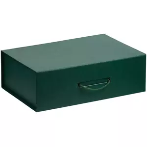 Коробка Big Case, зеленая - 06321042.90