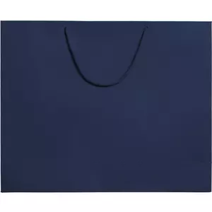 Пакет Ample L, синий, уценка - 0637530.44