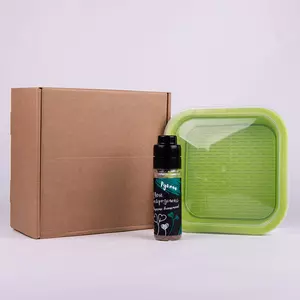 Подарочный набор для проращивания микрозелени: проращиватель, семена руколы - 69033817/рукола