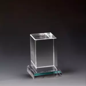 Призовая форма арт. 268P005 - 268P005