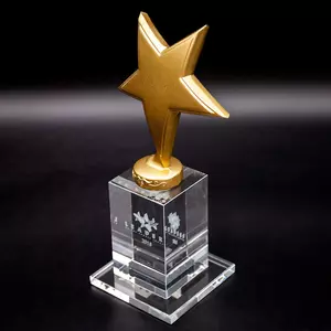 Кубок из стекла арт. 268K021N - 268K021N