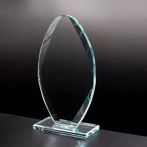 Награда из стекла арт. 268N048 - 268N048