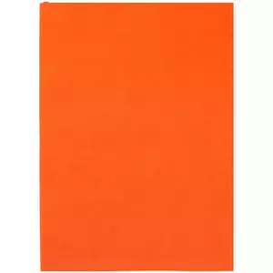 Ежедневник Flat Light, недатированный, оранжевый - 06317876.20