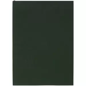 Ежедневник Flat Light, недатированный, зеленый - 06317876.90