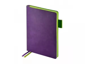 Ежедневник недатированный А5 «Boston» - 2123-228.10