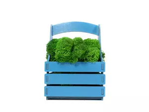 Композиция «Корзинка со мхом» - 2124500603