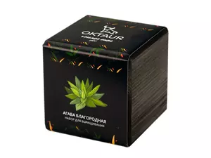 Набор для выращивания «Small village cube «Агава Благородная» - 2124500630